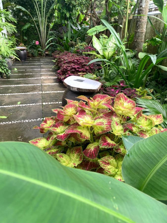 Hoi An Sunny Garden Apartment Exterior foto