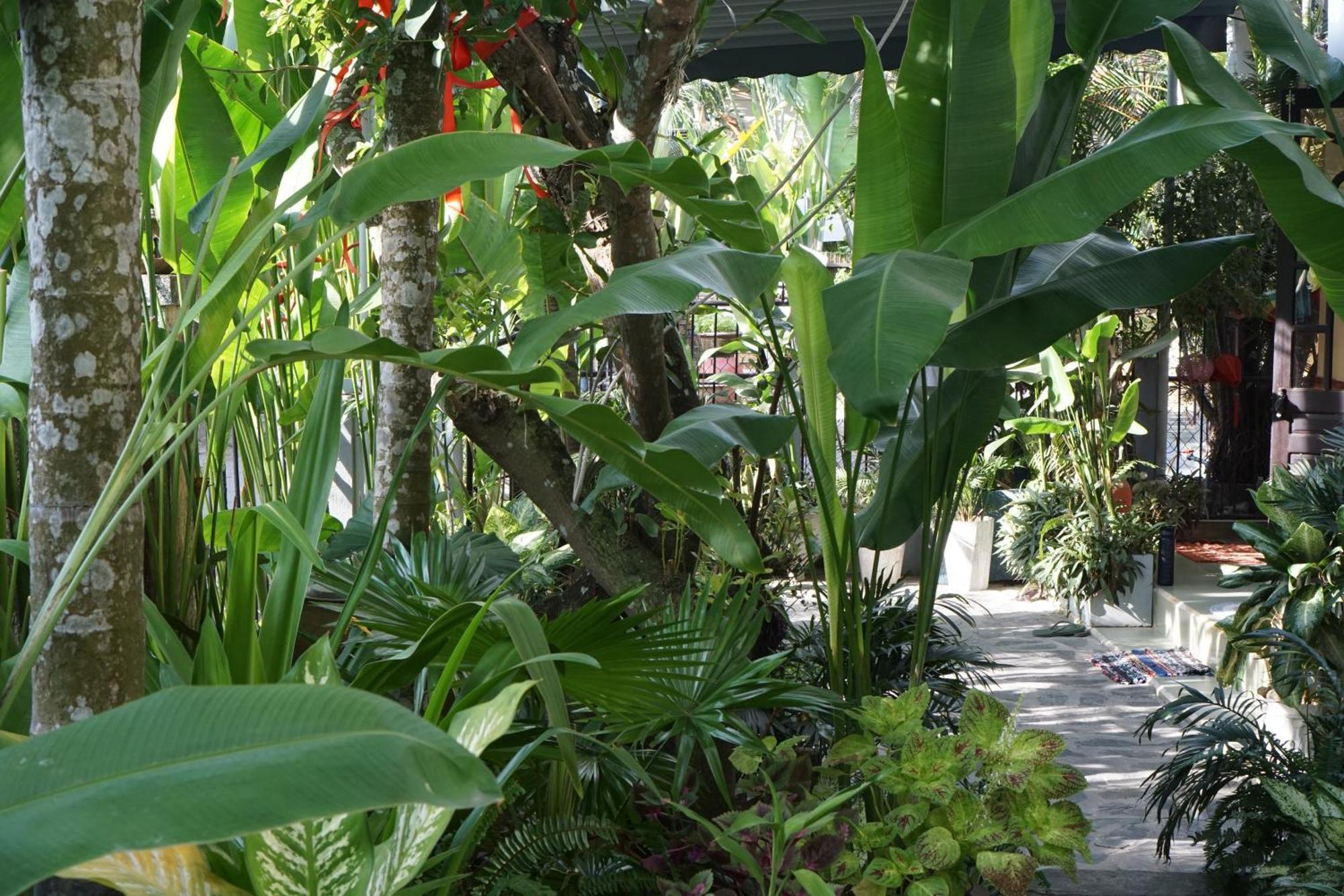 Hoi An Sunny Garden Apartment Exterior foto