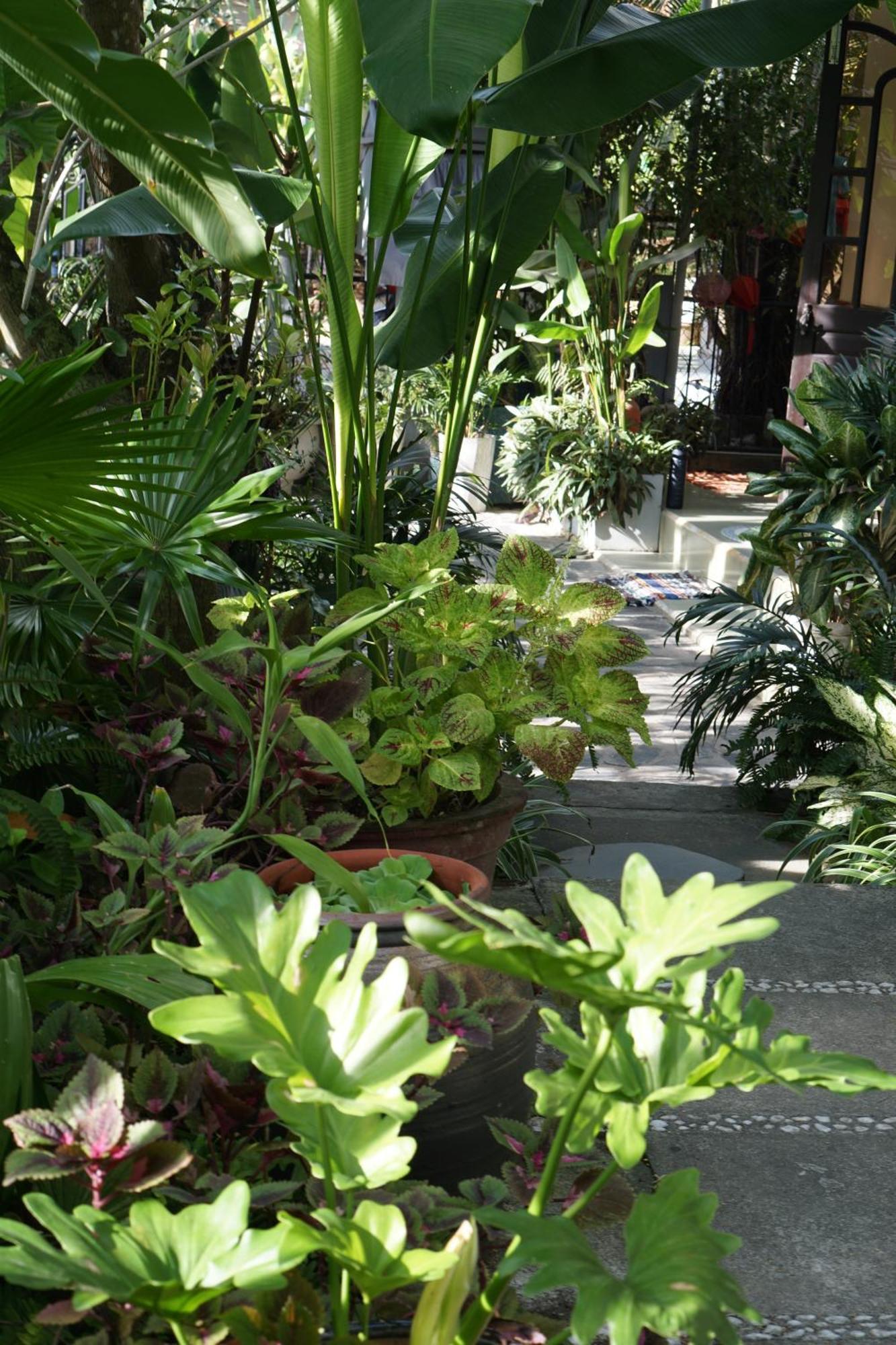 Hoi An Sunny Garden Apartment Exterior foto