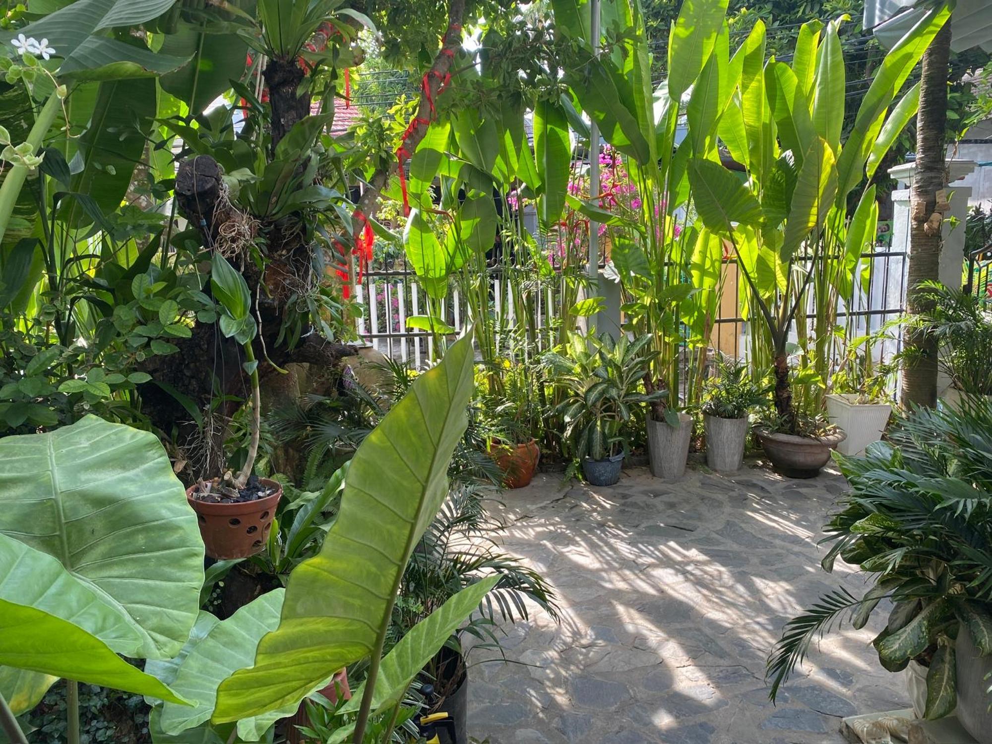 Hoi An Sunny Garden Apartment Exterior foto