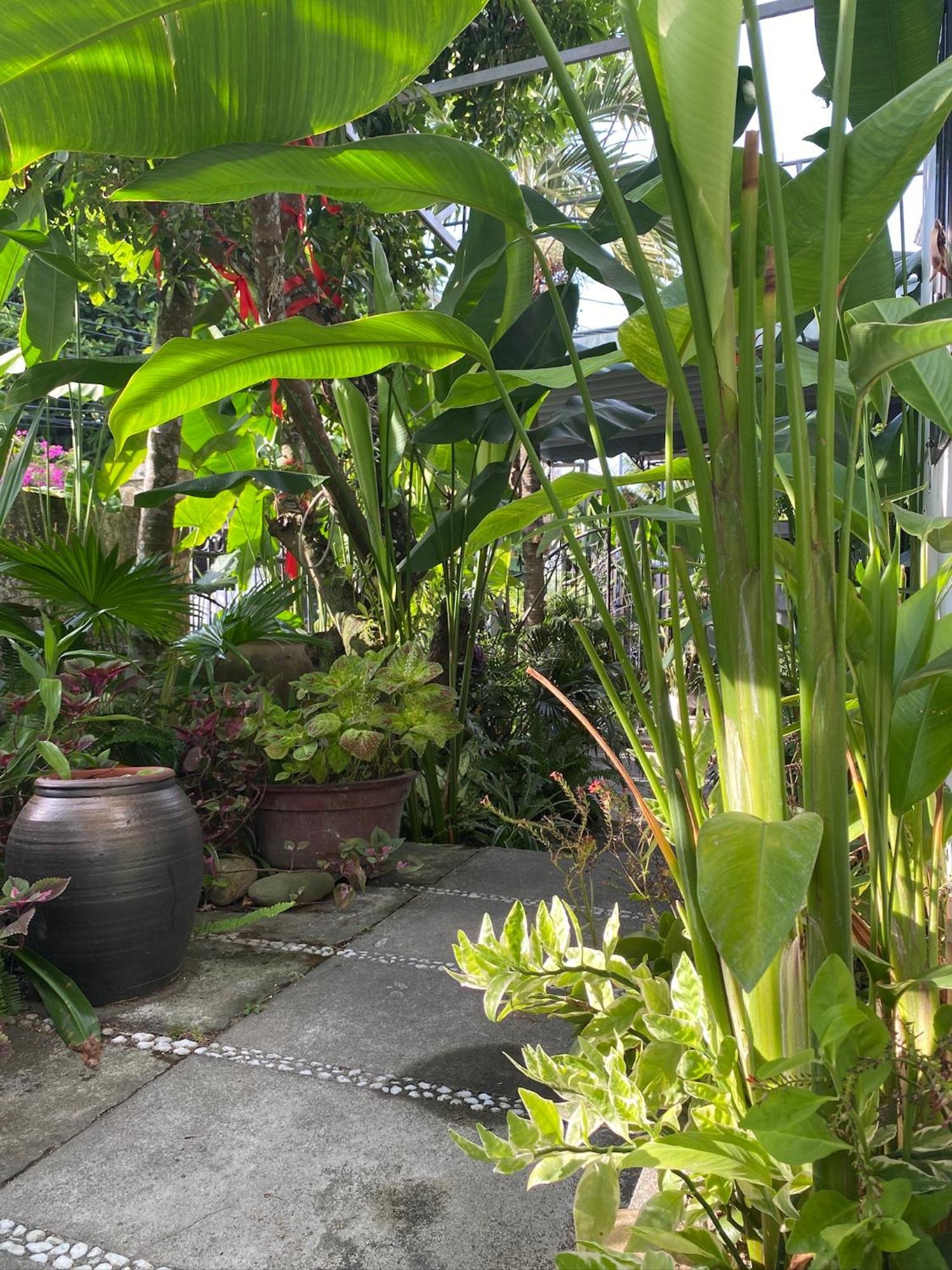 Hoi An Sunny Garden Apartment Exterior foto
